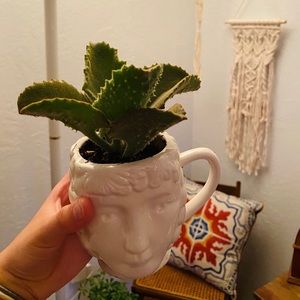 Mug/Vase